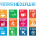 BM 2030 Hedefleri: 17 Küresel Amaç ve Stratejik Etkileri [2026] - Kapak Görseli
