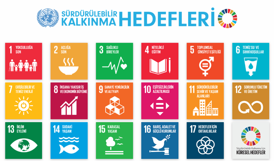 BM 2030 Hedefleri: 17 Küresel Amaç ve Stratejik Etkileri [2026] - Kapak Görseli