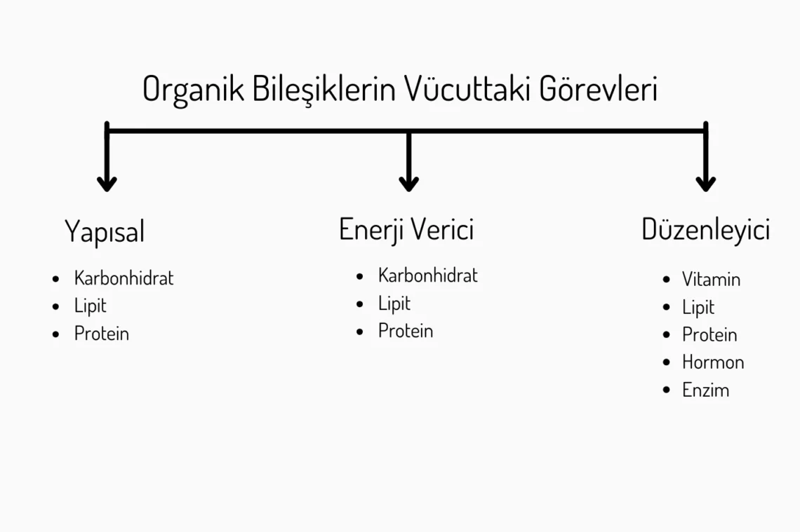 Bileşenin Görevi: Temel İşlevler ve Kritik Püf Noktaları [2026] - Kapak Görseli