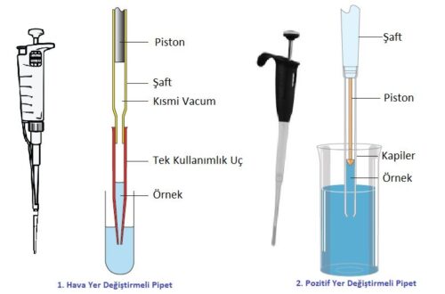 Pipet Bulma Rehberi: Stokta Olup Olmadığını Anlama [2026] - Kapak Görseli