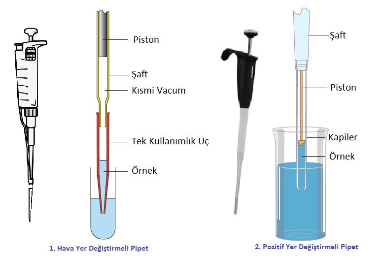 Pipet Bulma Rehberi: Stokta Olup Olmadığını Anlama [2026] - Kapak Görseli